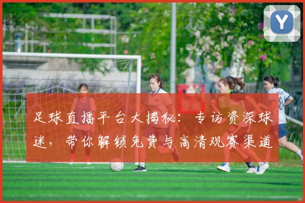 足球直播平台大揭秘:专访资深球迷,带你解锁免费与高清观赛渠道